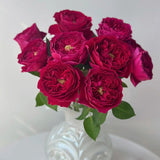 Load image into Gallery viewer, Cut Rose Kate