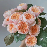 Load image into Gallery viewer, Wedding Cut Rose Juliet