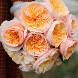 Load image into Gallery viewer, Wedding Cut Rose Juliet